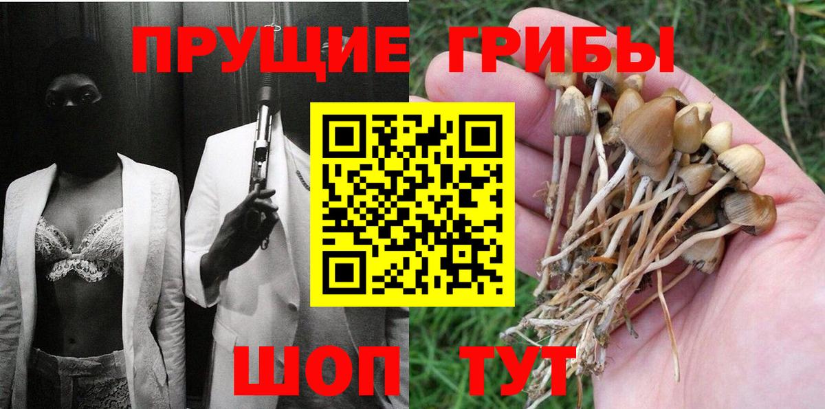 Псилоцибиновые грибы Cubensis Новочебоксарск