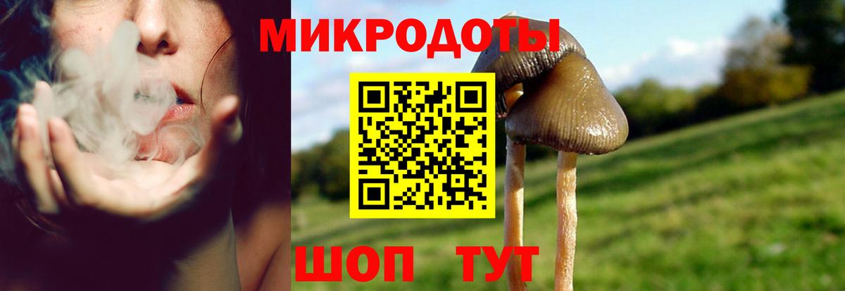 Псилоцибиновые грибы мухоморы  закладки  Новочебоксарск  Вход с VPN  Галлюциногенные грибы MAGIC MUSHROOMS 